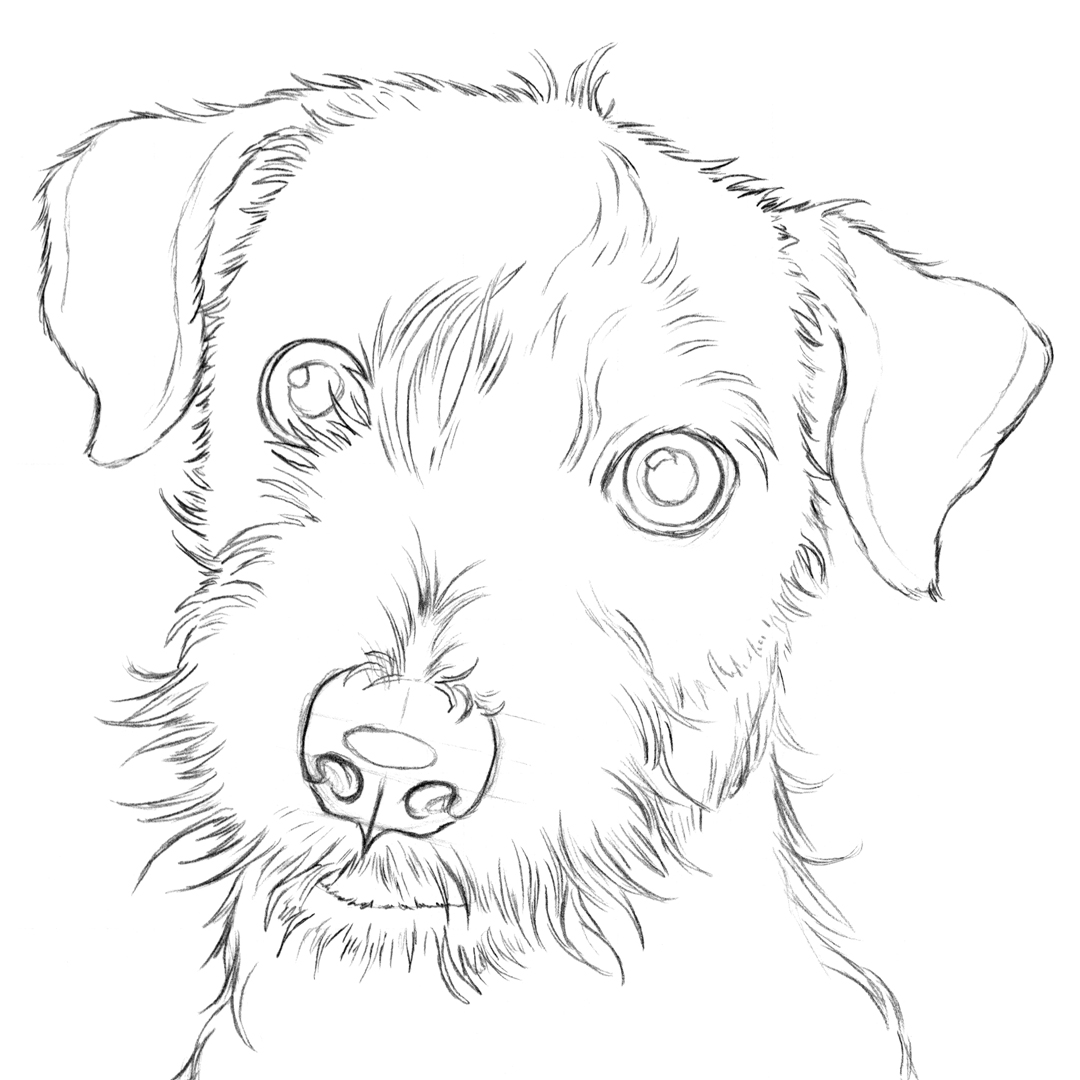 Realistic Dog Drawing Outline canvassite